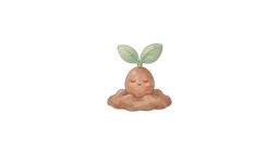 Seed